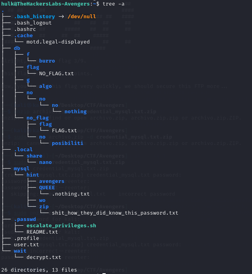 Pasted image 20241224131636.png