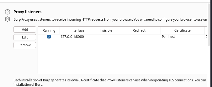 Pasted image 20250202130348.png