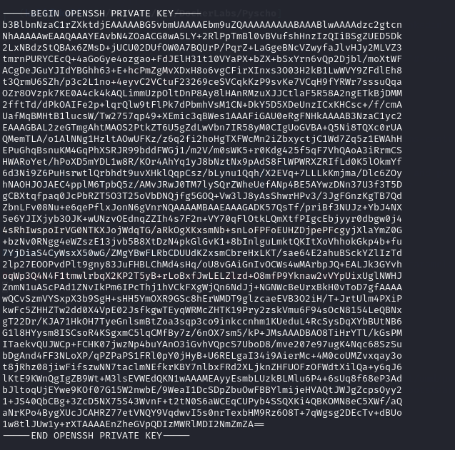 Pasted image 20250329194406.png