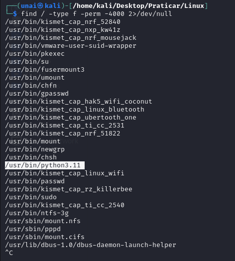 Pasted image 20250416202424.png