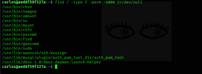 Pasted image 20250629193603.png